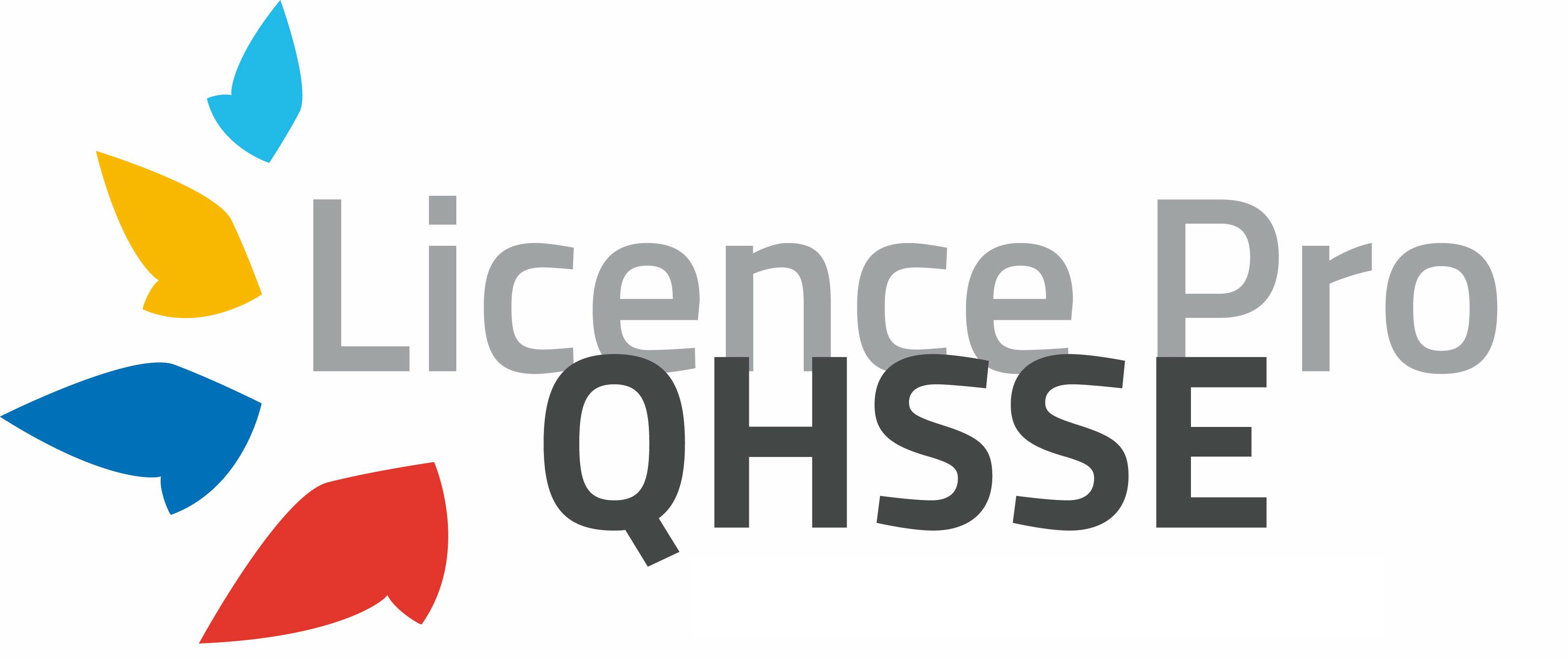 Licence professionnelle QHSSE